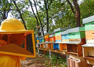 Amelia, apicoltura biologica Fior da Fiore