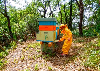 I bambini e le api in totale sicurezza