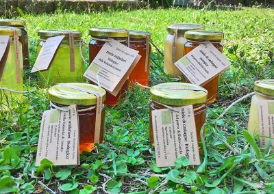 Miele Biologico italiano naturale