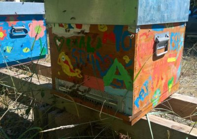 Didattica e apicoltura per ragazzi e giochi per bambini (dipingi la tua arnia) per conoscere le api e il miele