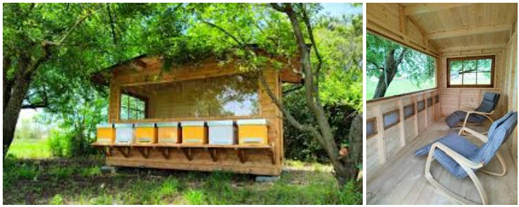 Apiario Didattico in BIOEDILIZIA Apiario Didattico in BIOEDILIZIA