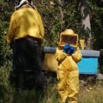 Piccoli Apicoltori