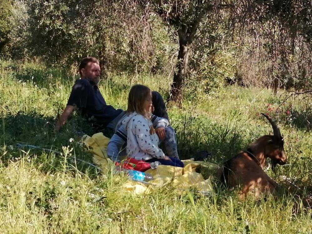 Vivere con gli animali ha sempre giovato alluomo garantendogli cibo protezione e SALUTE Vivere con gli animali ha sempre giovato alluomo garantendogli cibo protezione e SALUTE