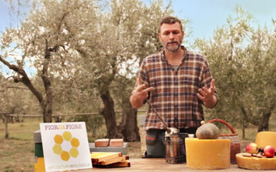 Crowdfunding per “La Danza delle Api”