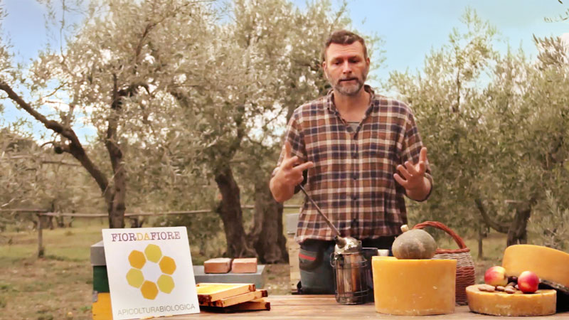 Crowdfunding, per sostenere "La Danza delle Api"