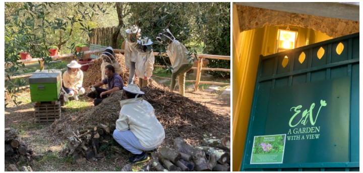 visita e conoscenza della vita dentro un Alveare visita e conoscenza della vita dentro un Alveare