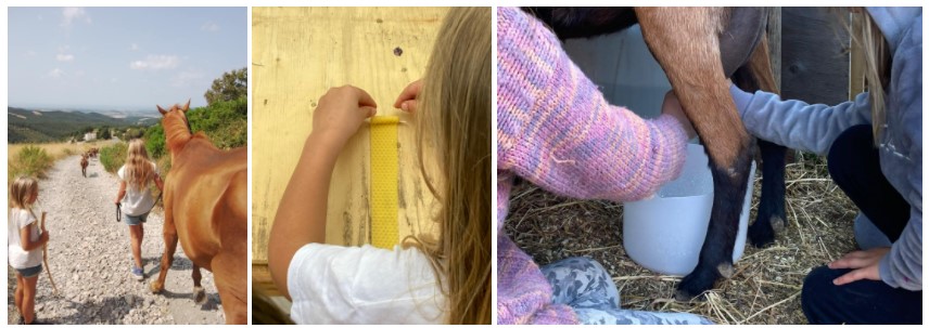 vivere in armonia con la natura e le api vivere in armonia con la natura e le api